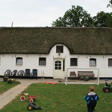 Kristiansminde Farm Holiday Tistrup Exteriér fotografie